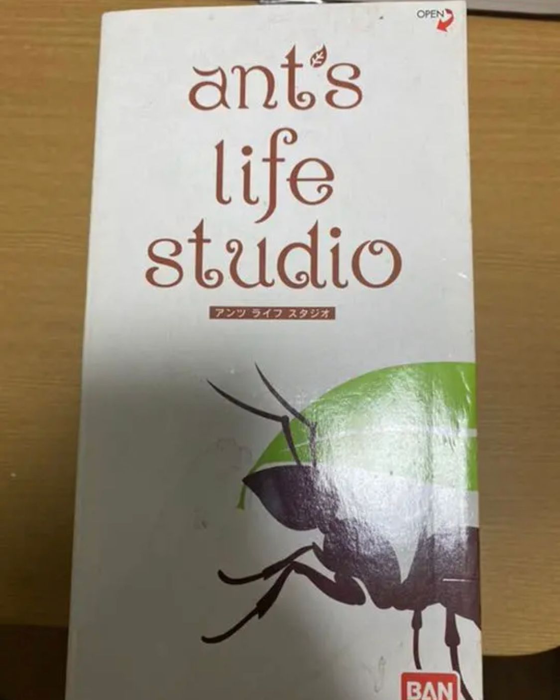 アリライフスタジオ Ant's life studio | Request Details